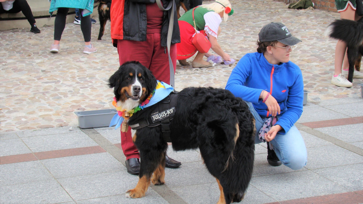 Tarnów w Tricolorze - Zjazd Berneńczyków