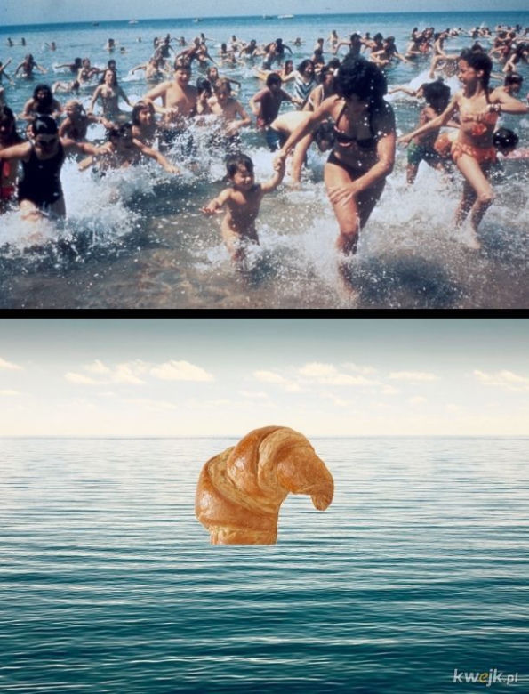 Krakowski lagun to prawdziwy FENOMEN! [MEMY]