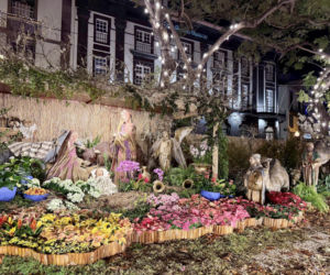 Funchal, szopka niedaleko katedry