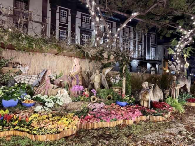 Funchal, szopka niedaleko katedry