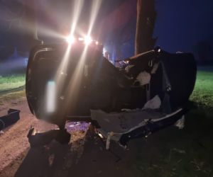 Makabryczna śmierć pod Płockiem! BMW roztrzaskało się o drzewo [ZDJĘCIA]