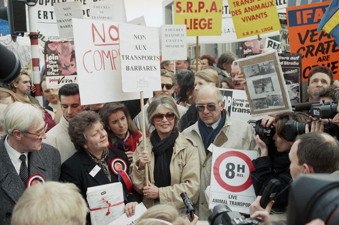 Brigitte Bardot nie żyje. Zmarła w wieku 91 lat. Była ikoną, prawdziwą pięknością