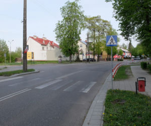 Chory Cimoszewicz potrącił rowerzystkę na pasach