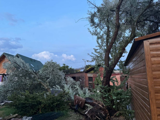 Skutki burz w Siedlcach i powiecie siedleckim