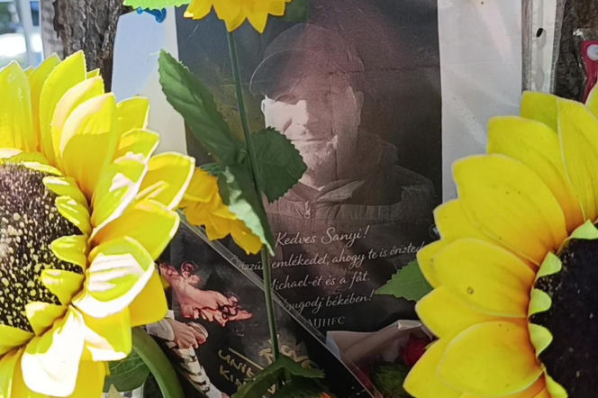 Drzewo pamięci Michaela Jacksona w Budapeszcie