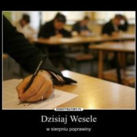 Matura 2017: najlepsze memy i gify