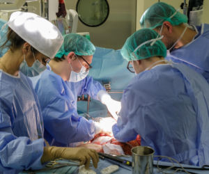 Lekarze WUM usunęli guza z wątroby poza ciałem. Pierwsza taka operacja w Polsce