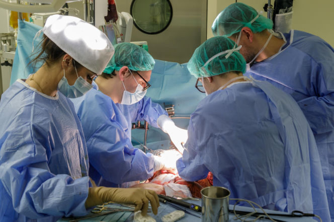 Lekarze WUM usunęli guza z wątroby poza ciałem. Pierwsza taka operacja w Polsce