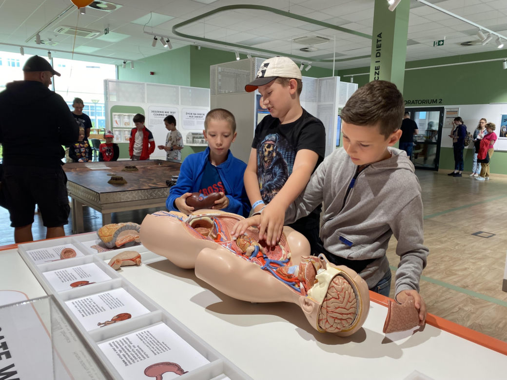Słoneczny początek wakacji w Olsztynie! Eska Summer City w Kortosferze