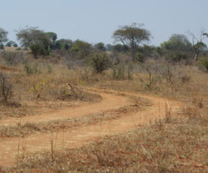 Afryka