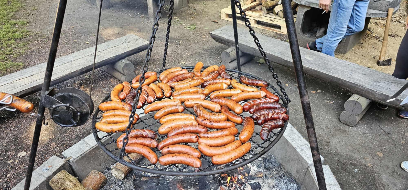 Wielkie Grzybobranie 2023 w rybnickim Golejowie. Oto mistrzowie tegorocznej edycji zawodów