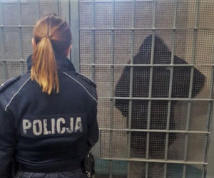 Ukradł złote łańcuszki z jubilera. 20-latek w rękach iławskiej policji