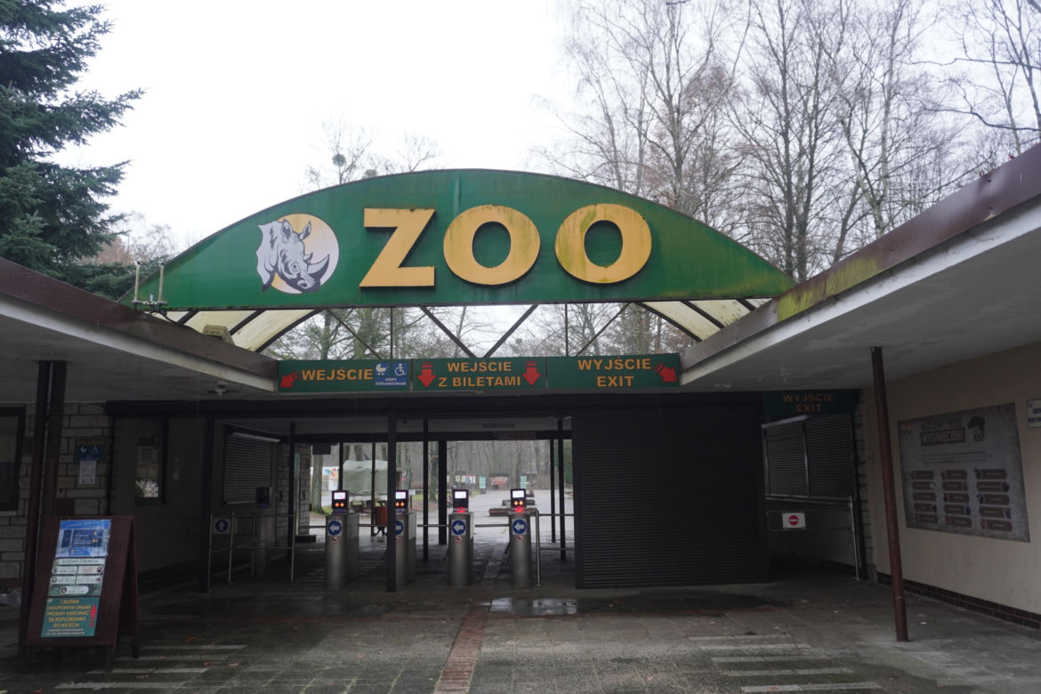 Zoo w Poznaniu zimą