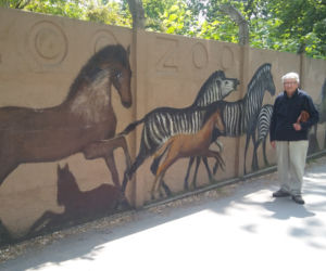 Malarz sam odnawia mural na ogrodzeniu wrocławskiego zoo