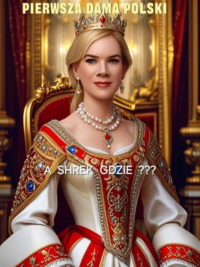 Radny nie odpowie karnie za porównanie Karola Nawrockiego do Shreka. O jego losie zadecyduje para prezydencka
