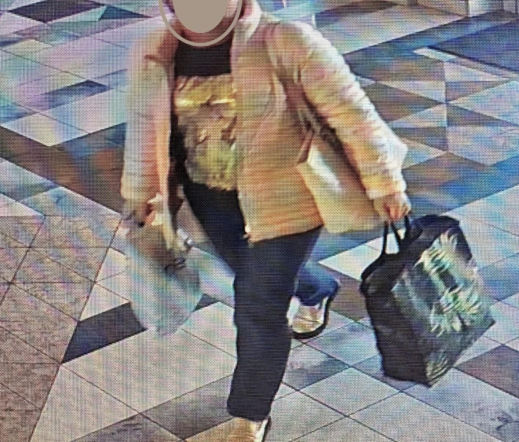 Kobieta ukradła deskę sedesową z domu kultury! Nagrały ją kamery. Nietypowy apel przyniósł zaskakujący efekt
