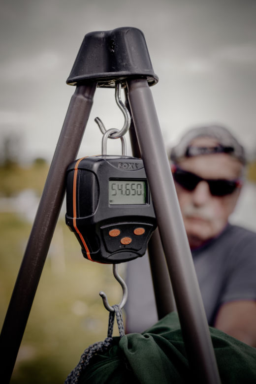 Ryba większa od wędkarza! Gigantyczny sum z sądeckich stawów wyłowiony po dwóch godzinach walki