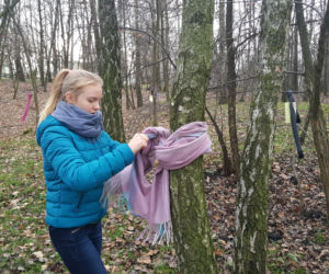 Akcja Szalik dla drzewa w Jaworznie