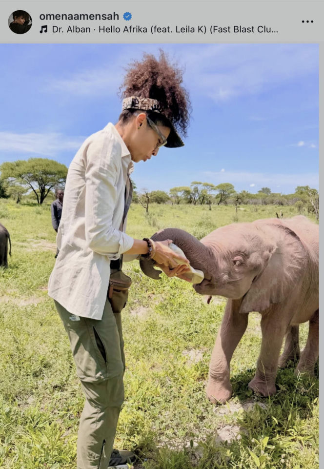 Gwiazdy witają nowy rok w bikini