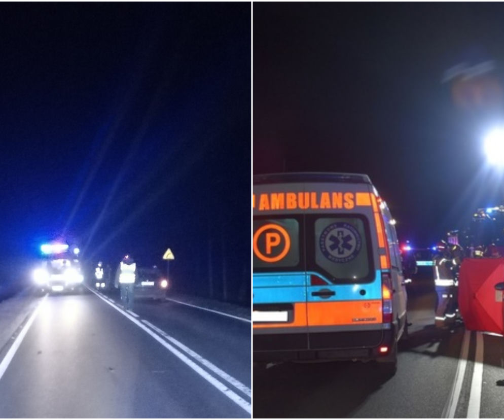 Kobieta i mężczyzna zginęli na drodze! Koszmar pod Działdowem [ZDJĘCIA]