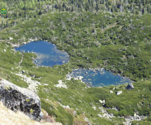 Górski raj w Karkonoszach znów otwarty! Powstały wyjątkowe kładki wśród kosodrzewiny