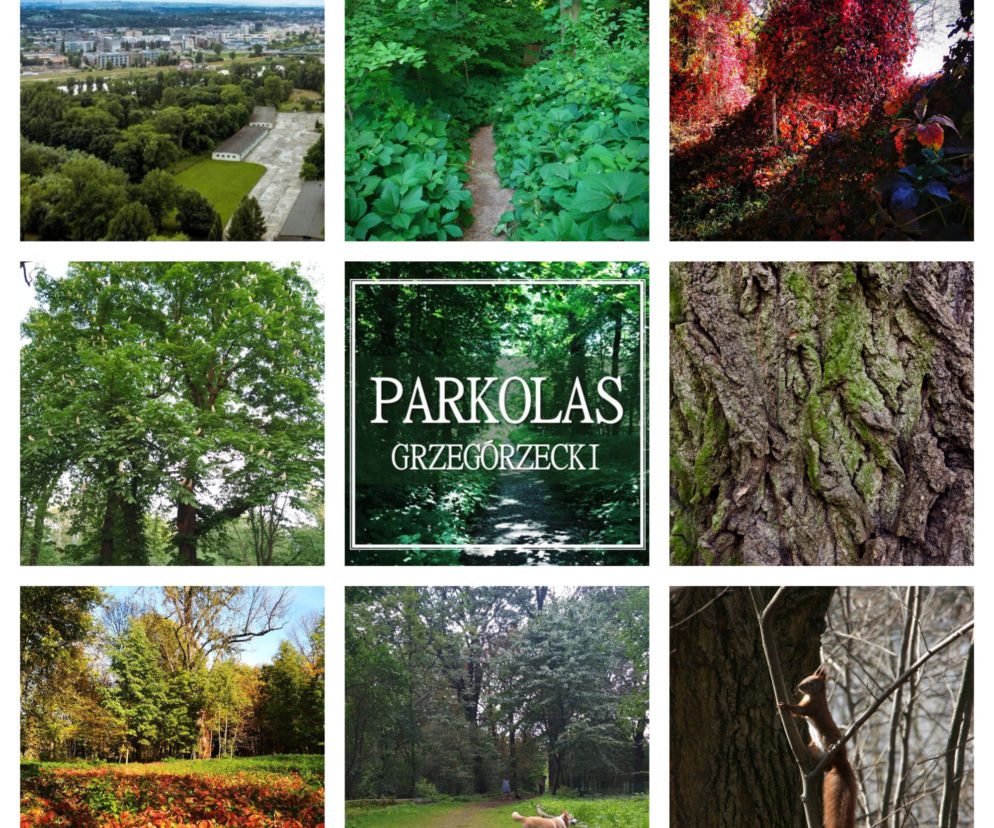 Parkolas Park Grzegórzecki
