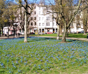 Cebulice w Szczecinie