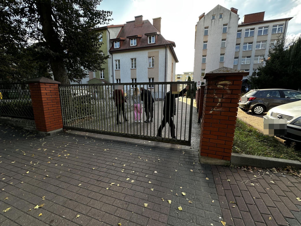 Wyjął długi nóż i zaczął dźgać. Gdy go złapali, trzymał maczetę!