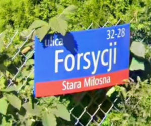 Oto najbardziej wiosenne ulice w stolicy! Tu wiosna trwa cały rok!