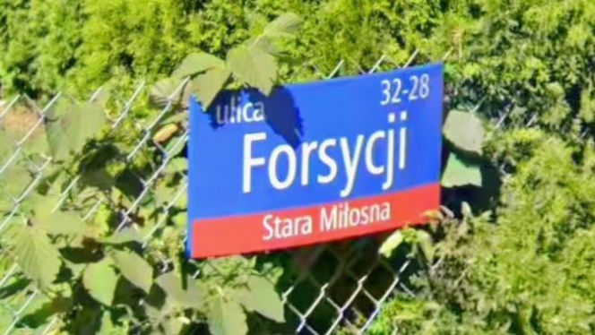 Oto najbardziej "wiosenne" ulice w stolicy! Tu wiosna trwa cały rok!