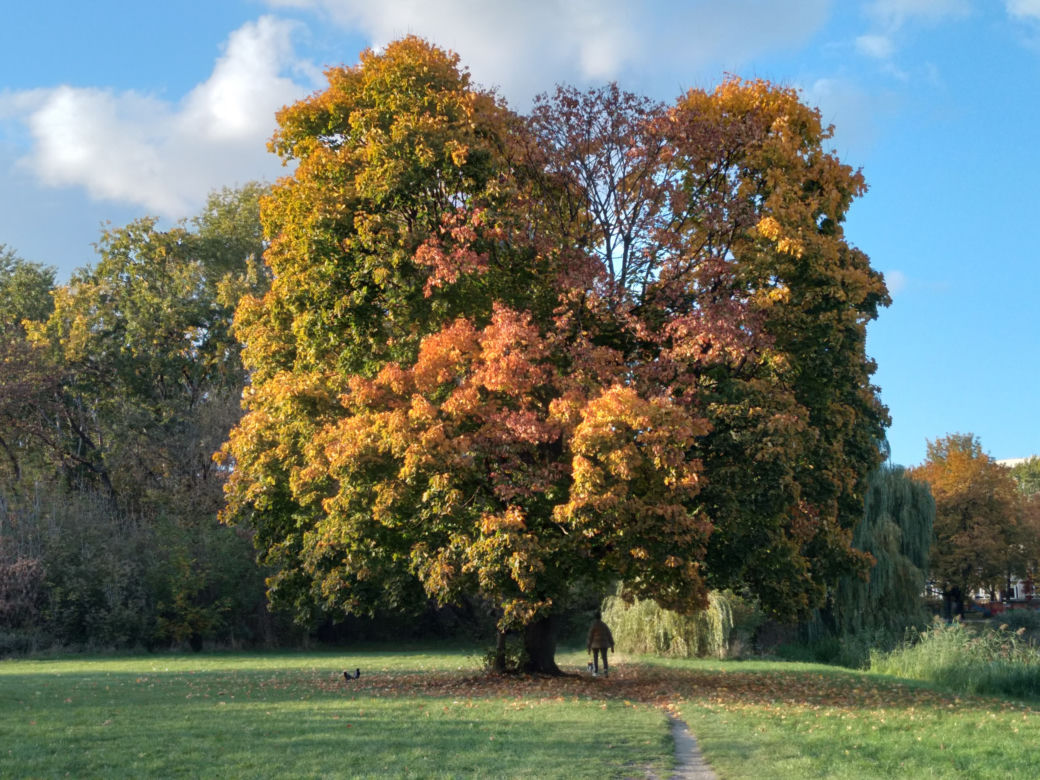 Park Skaryszewski