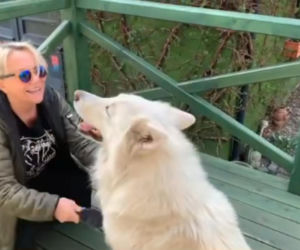 Małgorzata Ostrowska