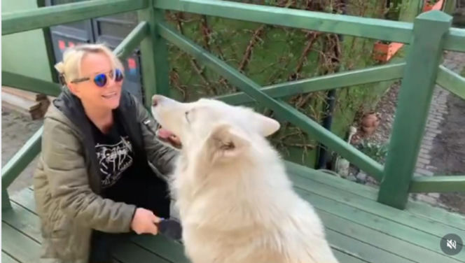 Małgorzata Ostrowska