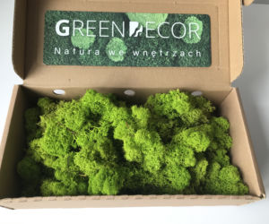 Green Decor