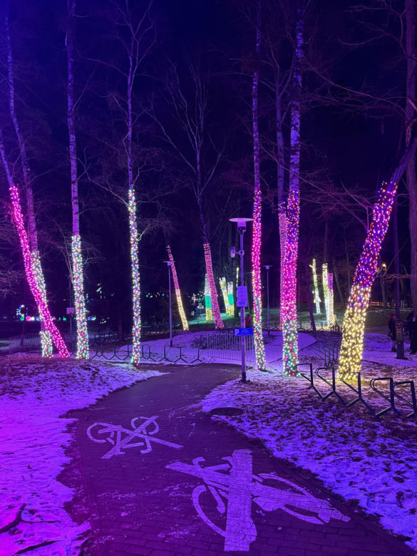 Garden of Lights w Szczecinie