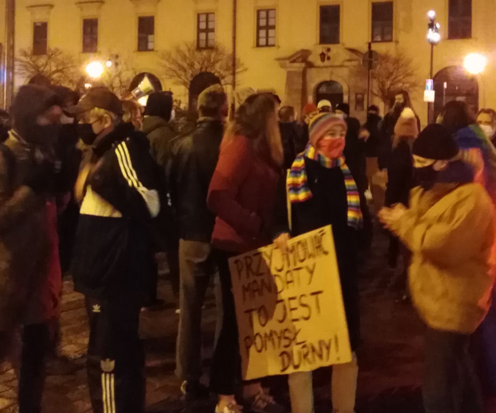 Protest w związku z ustawą mandatową 