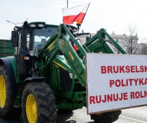 Wiceminister rolnictwa o protestach rolników w sprawie Mercosur:  są zasadne