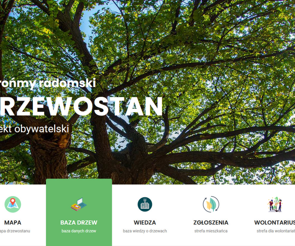 Screen ze strony drzewa.radom.pl