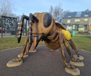Zobacz jak zmienia się otoczenie Dębu Bartek w Zagnańsku
