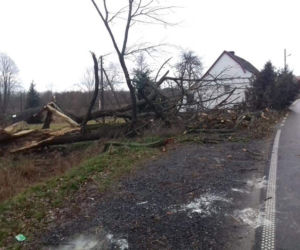 Wichury na Dolnym Śląsku