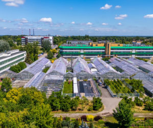 Kampus SGGW w Warszawie
