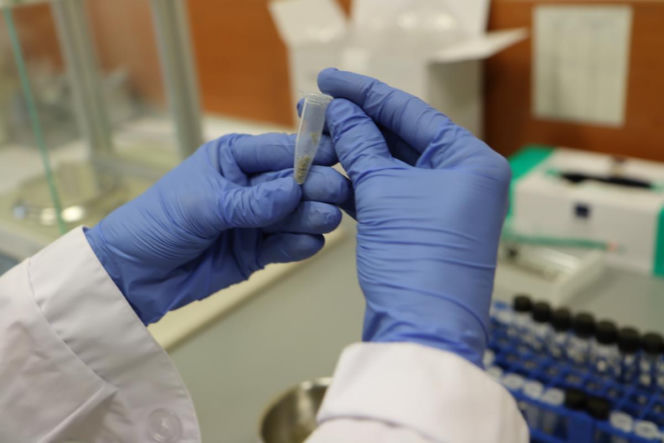 Policjanci zabezpieczyli prawie 20 kg narkotyków o wartości blisko 2 mln złotych