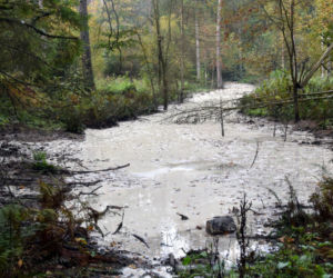 Szudziałowo. Bimbru nie będzie! Na Podlasiu zlikwidowano gigantyczną leśną bimbrownię