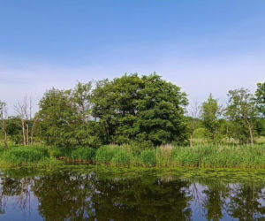 Tramwaj wodny Szczecin - Mescherin - Gartz