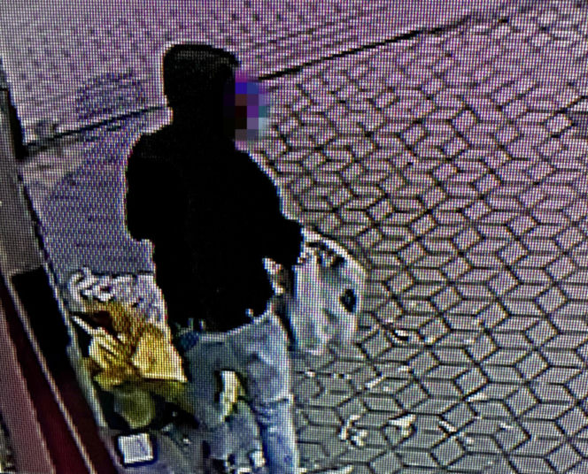  Loki ruszył tropem i doprowadził policję prosto pod drzwi złodzieja