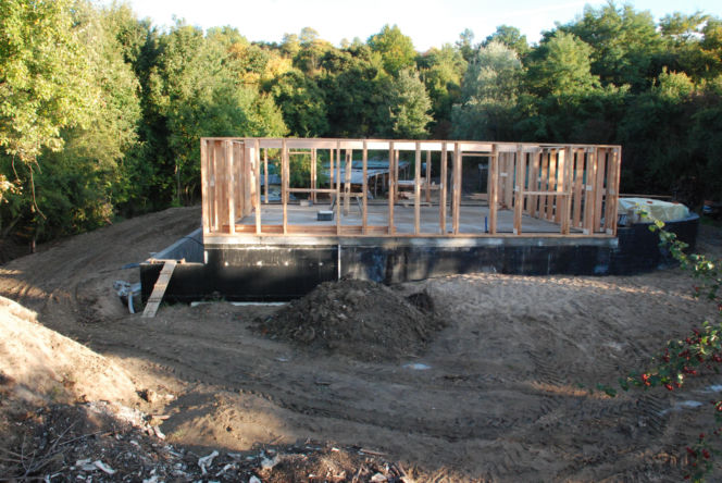 Inn Vivo - budowa ekologicznego domu z zielonym dachem