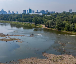 Niski stan wody w Wiśle w Warszawie, 5.08.2026