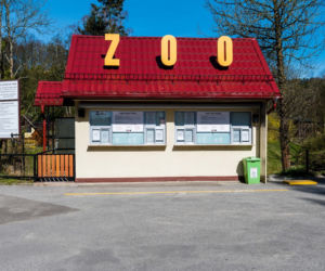 Koronawirus w Trójmieście. ZOO zamknięte na czas kwarantanny