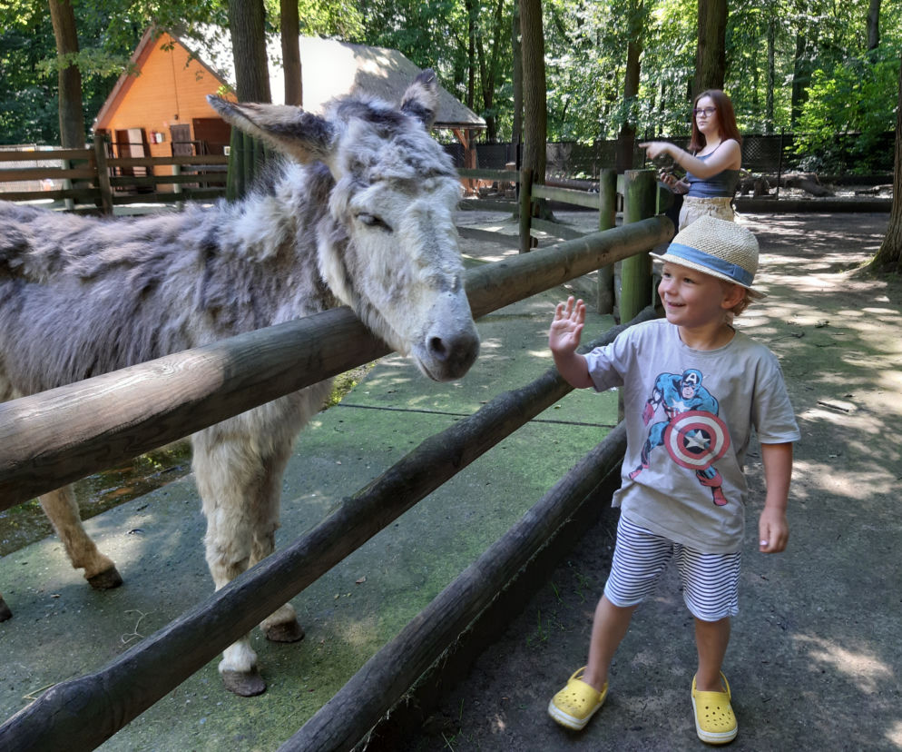 Można zwiedzać krakowski ogród zoologiczny