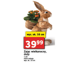 Wielkanocne promocje w Lidlu